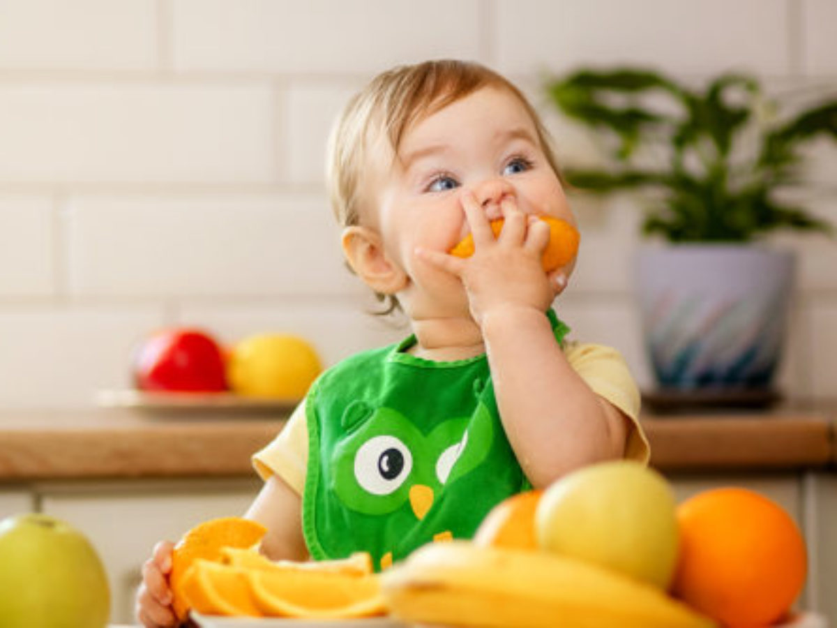 Prato para Bebê: Comer para Crescer