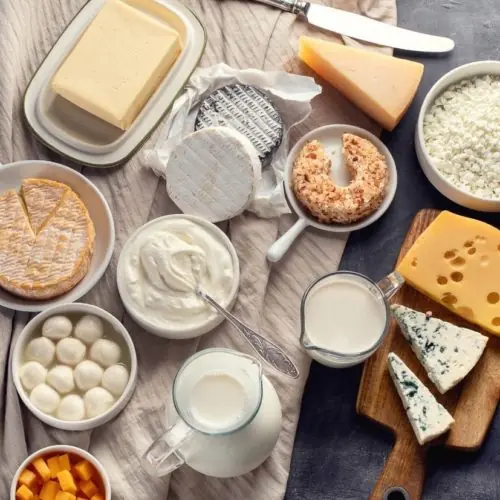 Alimentos fontes de cálcio