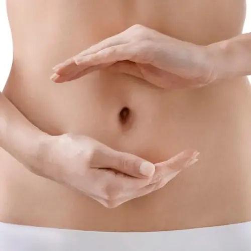 Endometriose e Alimentação capa
