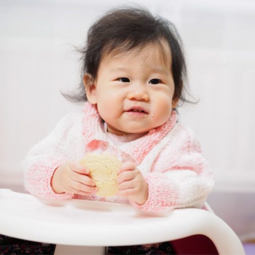 Lanches-para-bebes