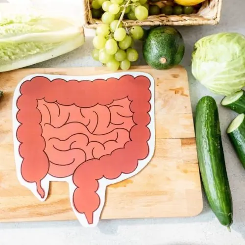 Ilustração do intestino sobre uma tábua cercada de frutas e verduras